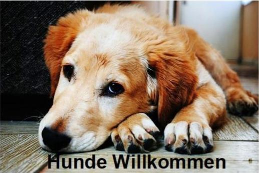 Altstadt- Und Businesshotel Pfaubraeu - Brauereigasthof - Fruehstuecksbuffet - Kostenfreie Radgarage - Hunde Willkommen Trostberg an der Alz Exterior foto